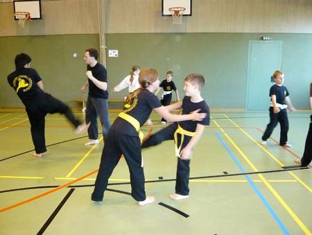 0.9.0 Jetzt gibts Kempo Training